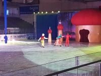 54799413_333855344144950_1007687971471622144_n