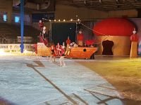 55443470_160401304903865_4606728651210227712_n