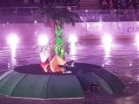 55575637_406799306789209_6131597824049020928_n