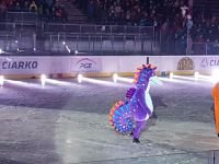 55576167_2198581180220653_4319280981308604416_n