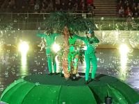 55590161_2247730168821563_8249073398840295424_n