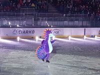 55646634_2392553337660823_8633454980214292480_n