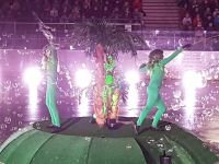 55798284_1031227447062413_8544888897690140672_n