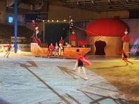 56165142_346583582625688_7545254814532239360_n