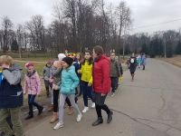 54350199_340472283241287_4463320165643190272_n