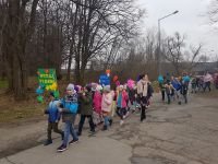 55559472_410522962847864_5409423545950273536_n