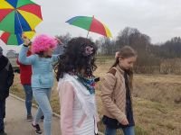 55719494_403322033839209_7775727475509690368_n