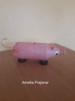 185509146_474874787169653_6397024392941960908_n