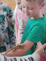 400771150_680283107414165_4348372977740489460_n