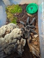 400785970_680282990747510_8236029610515082703_n