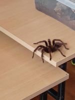 400981480_680282517414224_1160784624824868650_n