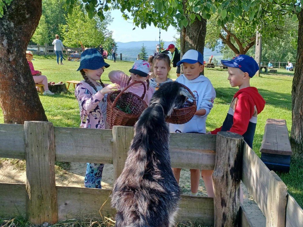 2ca9419c ea01 4b51 9697 4c3c462769cb